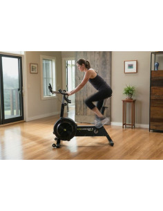 Concept2 BikeErg 2