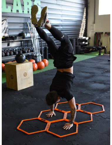 Sveltus Training Leiter