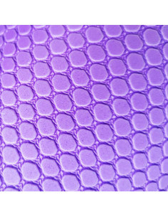 Sveltus Pilates Roller 2