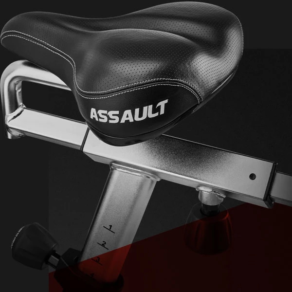 Assault AirBike Classic